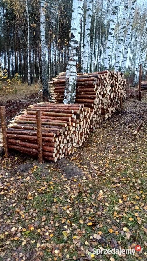 Kołki melioracyjne Grębków sprzedam
