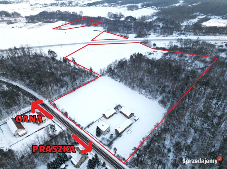 Działki ranczo gospodarstwo dom 64 ha las staw 63847m2 opolskie Rozterk