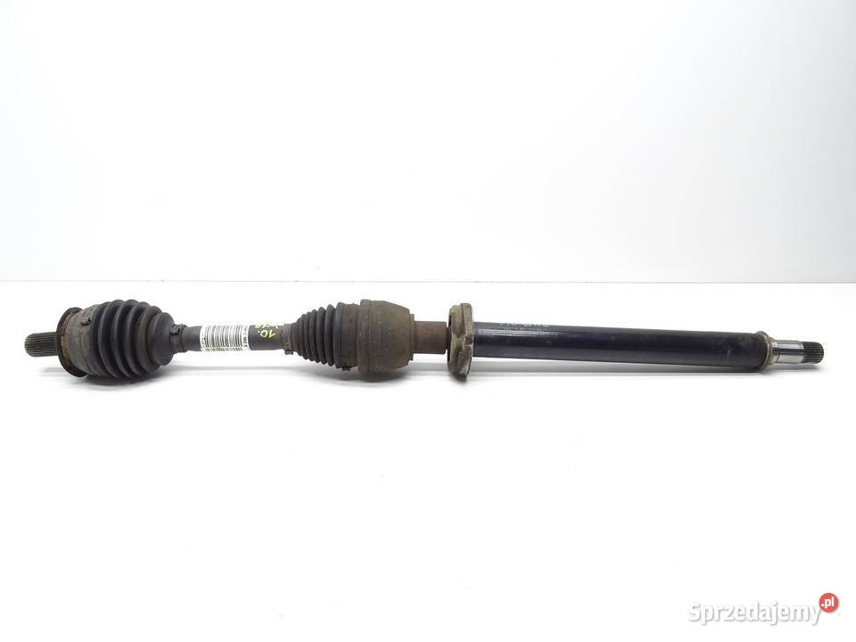 PÓŁOŚ PRAWA PRAWY PRZÓD PRZEDNIA DŁUGA małopolskie