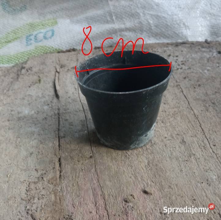 Doniczki na rozsadę sadzonki kwiatki
