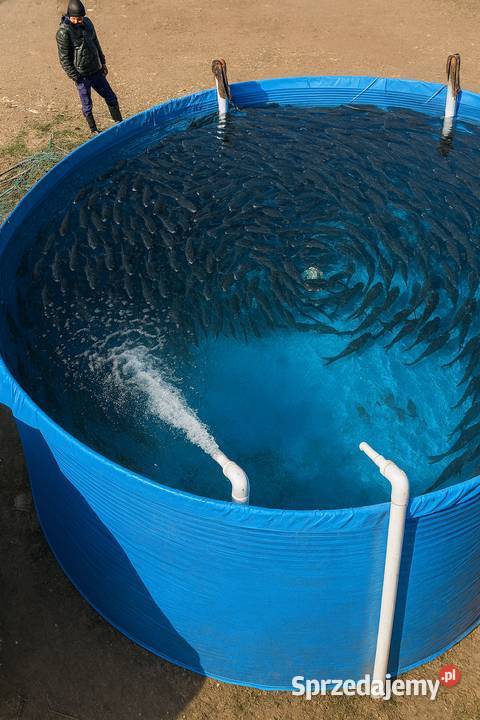 NOWE PVC Baseny do hodowli ryb Baseny do mazowieckie Warszawa sprzedam