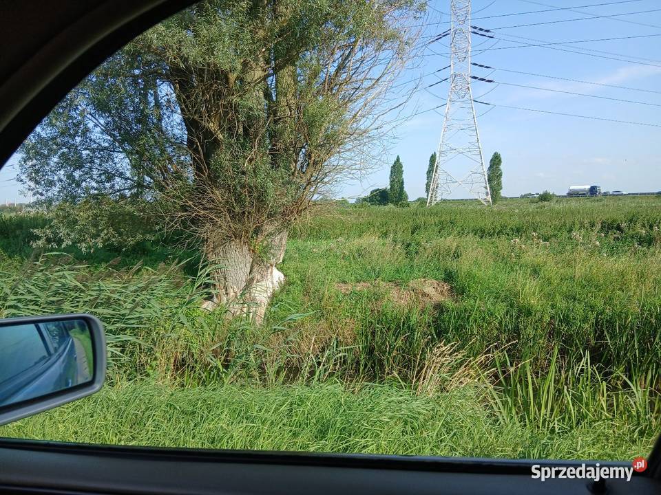 Sprzedam działkę 9971mw Gdańsku Zulawska Orunia Gdańsk