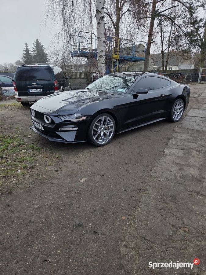 LAMPA TYLNA L R FORD MUSTANG 1823 R WERSJA USA Kawnice