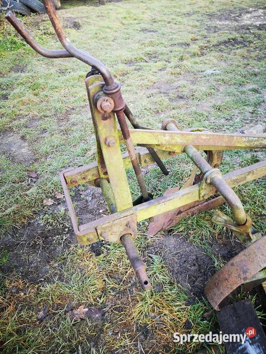 Pług świętokrzyskie Busko-Zdrój