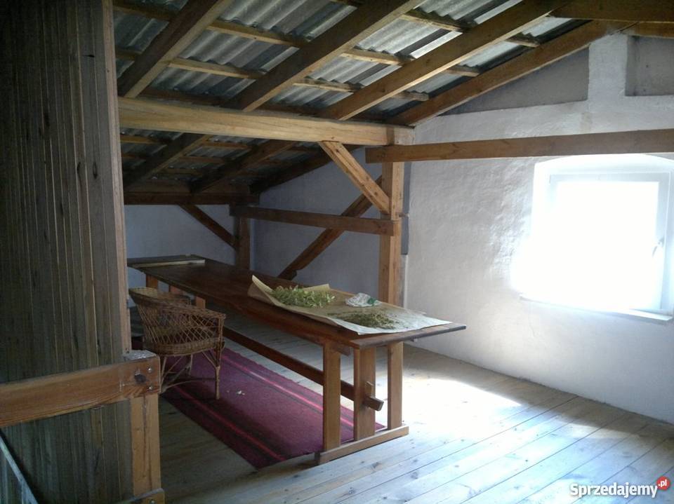 Stary ciekawy dom w Budziszewku duża działka węglowe Domy wielkopolskie Budziszewko