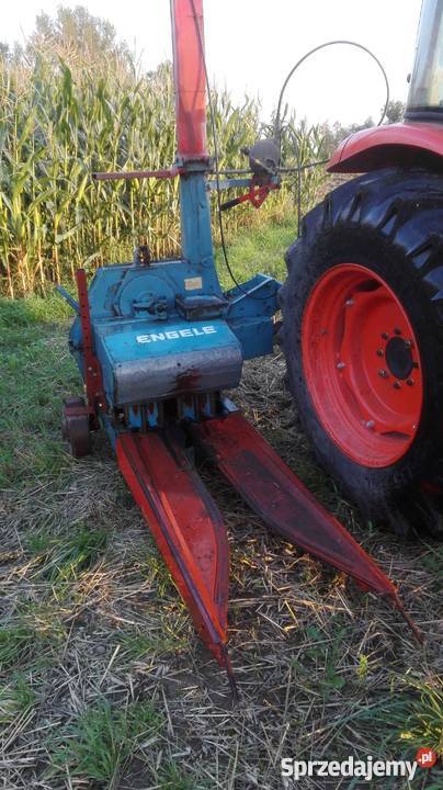 Sieczkarnia kukurydzy MENGELE jednorzędowa Wielkie Radowiska sprzedam