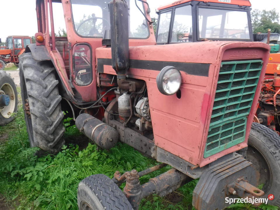 Ciągnik MTZ 50 80 Tychowo