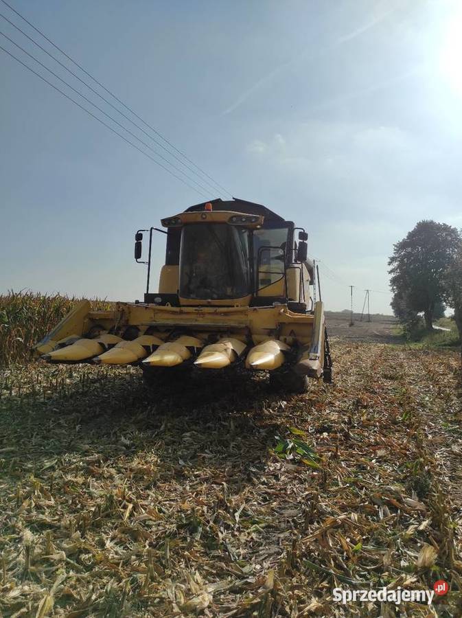 Holland cx 6080 Mogilno