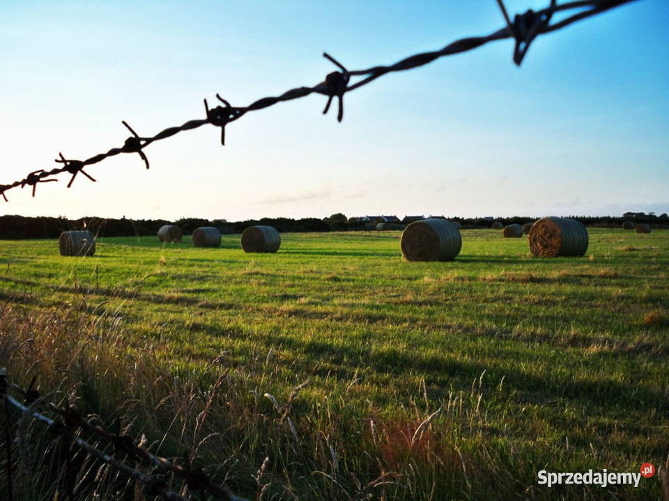 Drut kolczasty 25 mm ocynkowany rolka 4590180 mb Szczecin