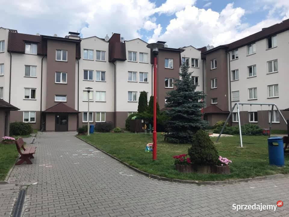 Mieszkanie do wynajęcia BEZPOŚREDNIO Warszawa Liczba pokoi 2