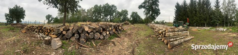 Drewno opałowe Opał Kamieniec Ząbkowicki