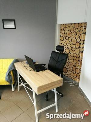 Plastry na ściane krążki drewniane szlifowane Rybnik