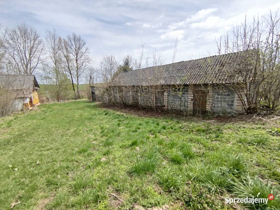 Sprzedam siedlisko z polem ornym klasy Sprzedaż Telatyn sprzedam