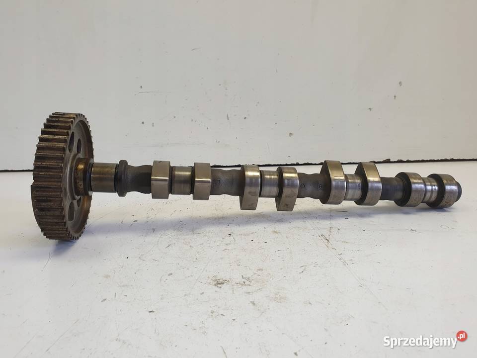 Opel Astra G 18 16V WAŁEK ROZRZĄDU SSĄCY Chełm
