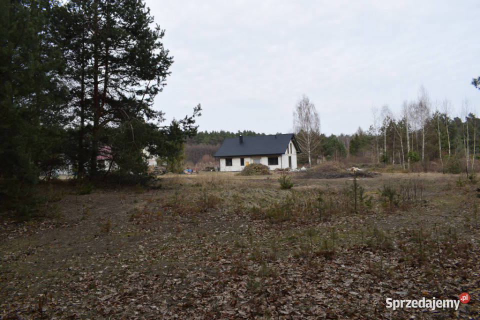 Działki pod budownictwo 1387a Wysoka Głogowska