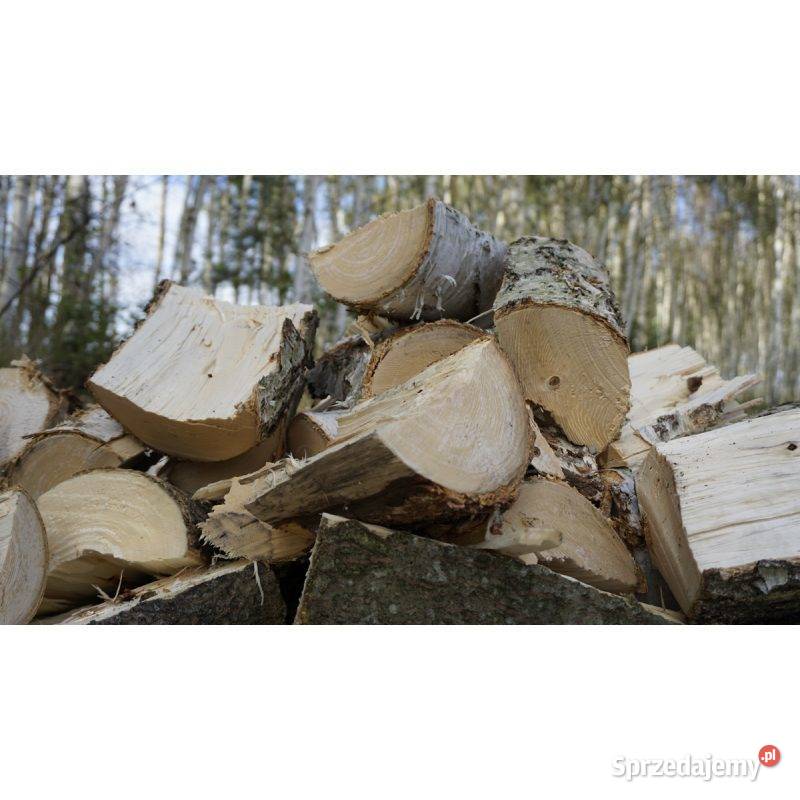 Rębak tnącorozłupujący WOODPECKER RP300 Remet świętokrzyskie Ożarów