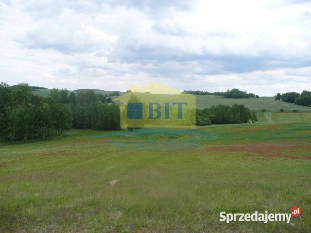 Działka rolna 150 m jeziora Sprzedaż Piaseczno sprzedam