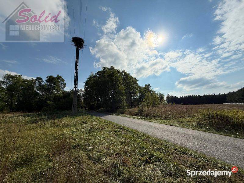 Piękna działka z warunkami zabudowy idealna pod sprzedam