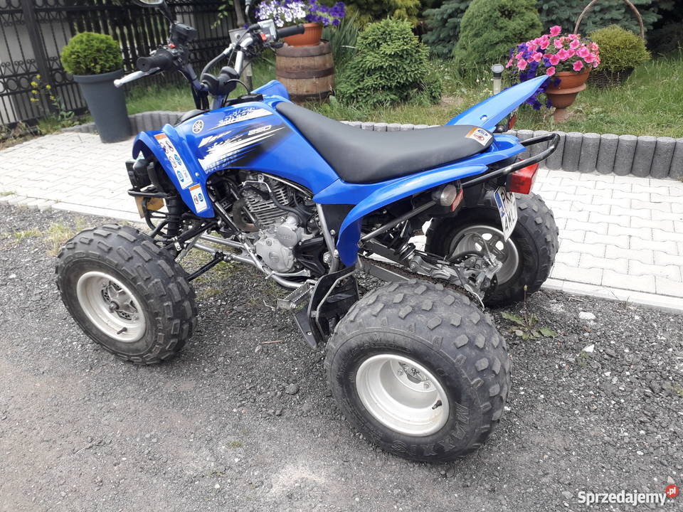 Yamaha raptor 250 zarejestrowany Kalisz