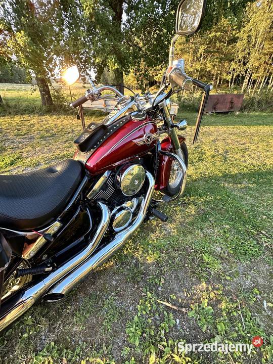 Triumph America Włodawa