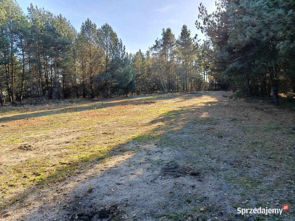 Działka na sprzedaż Kajetanowice