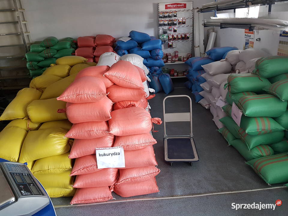 kukurydza w workach 25 big bagi luzem Rolnictwo Ligota Turawska