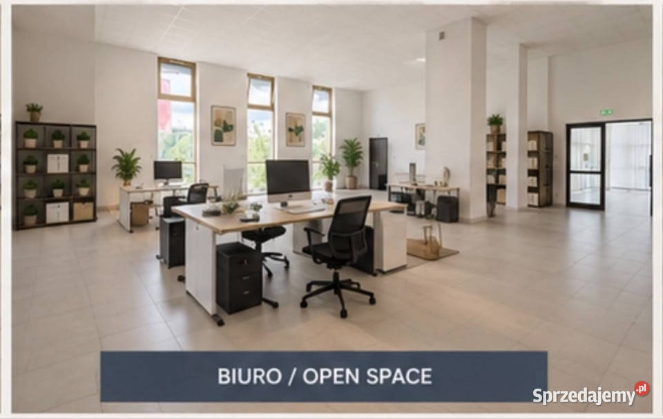 wynajmu lokalu Rzeszów Tadeusza Rejtana 185m2 sprzedam