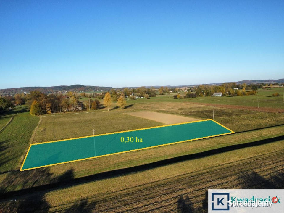 Działka Bzianka 3000m2