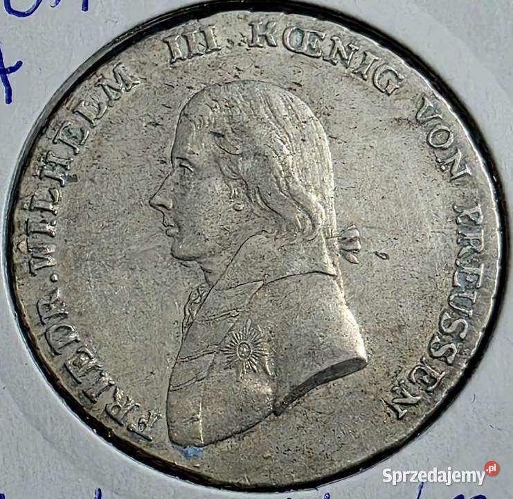 Talary Pruskie piękne Sosnowiec