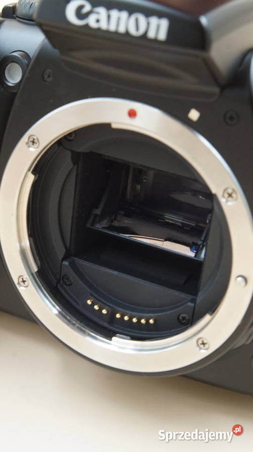 Canon EOS kiss digital Grodzisk Mazowiecki