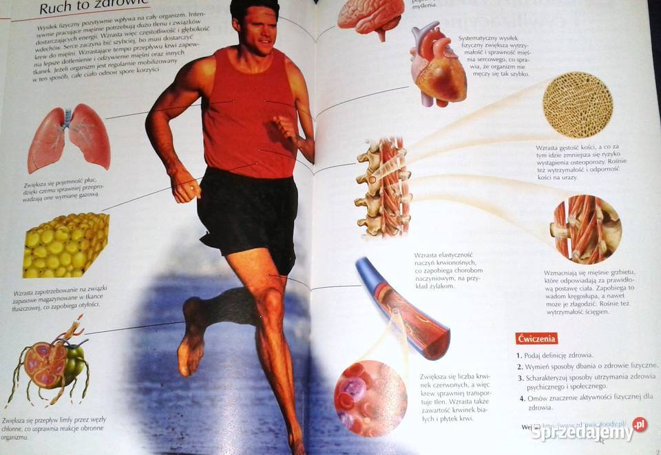 Puls życia 2 Małgorzata Jefimow Rok wydania 2009 Chełm sprzedam