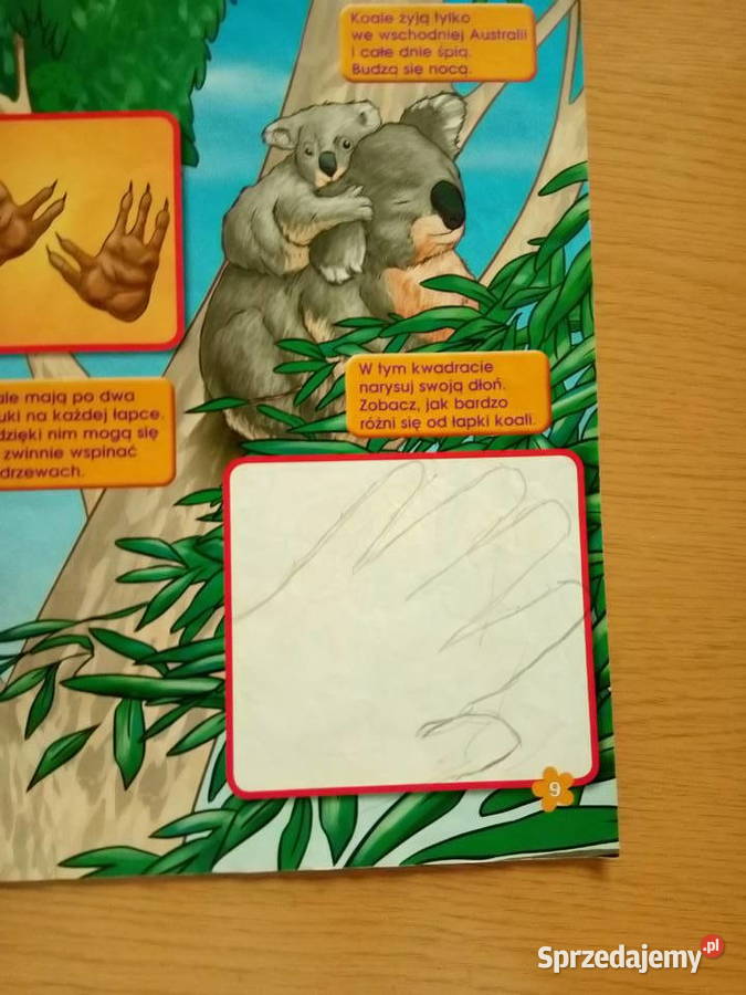 Gazetka Kubuś Puchatek z zabawką Dąbrowa Górnicza