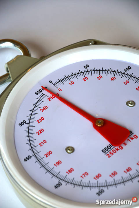 Waga hakowa sprężynowa 250 Skarżysko-Kamienna