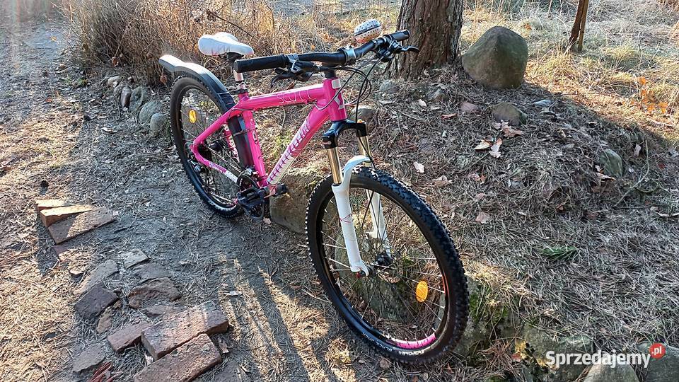 Alu Rower Górski Mtb Młodzieżowy Scott Contessa Wołów
