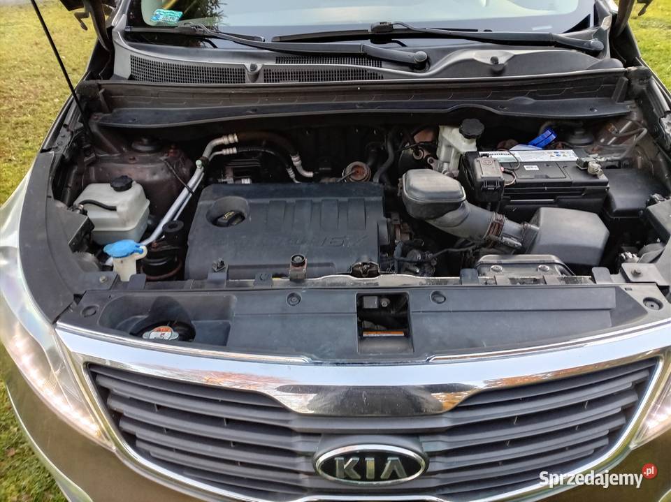 Kia Sportage Salon Poska Zduńska Wola