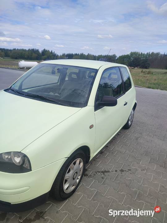 seat arosa 10 Arosa kujawsko-pomorskie