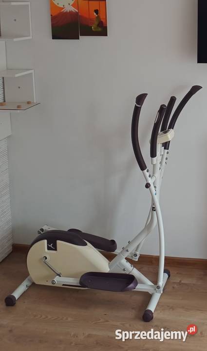 Orbitrek Domyos Inowrocław