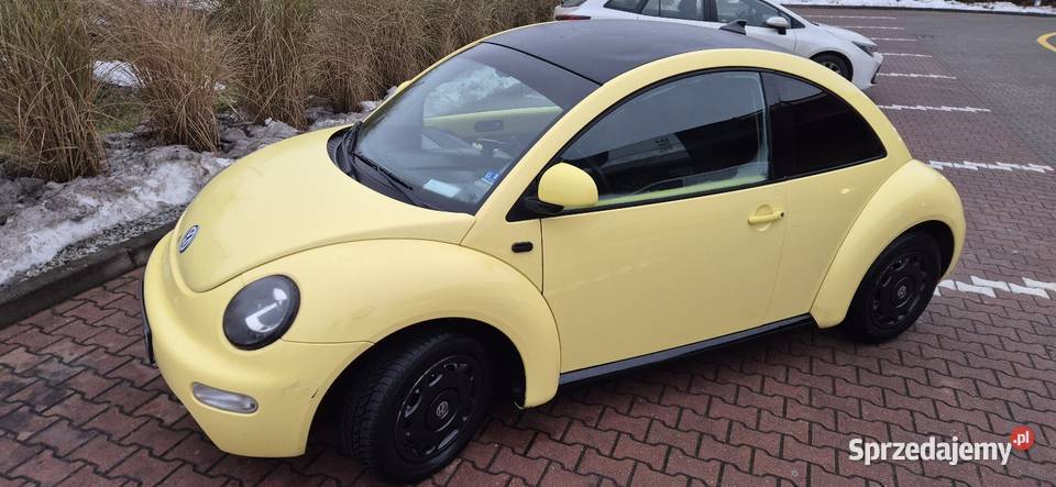 VW Beetle kujawsko-pomorskie Bydgoszcz