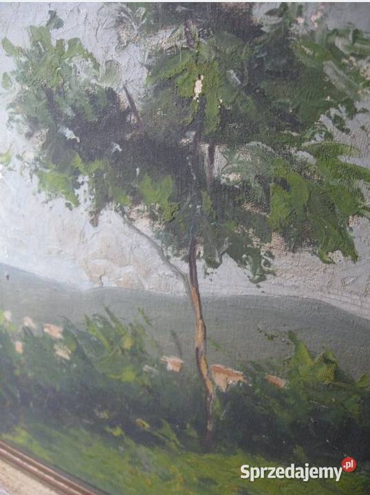 Erich Martin Mller ur 1888 1972 kraj Niemcy