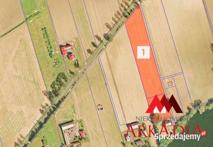 Działka 3012m2 Dobrzyń Wisłą
