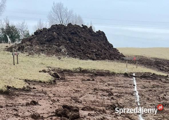 Oddam ziemię z domieszką gliny idealna na Zaborze
