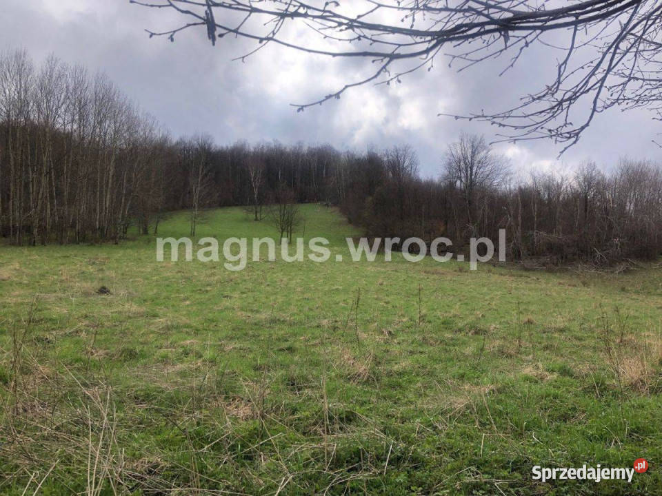 Na sprzedaż duża działka rolna bez mpz w u stóp dolnośląskie Olszyniec