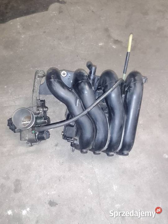 Kolektor ssący Clio Megane Kangoo Zwierzyn