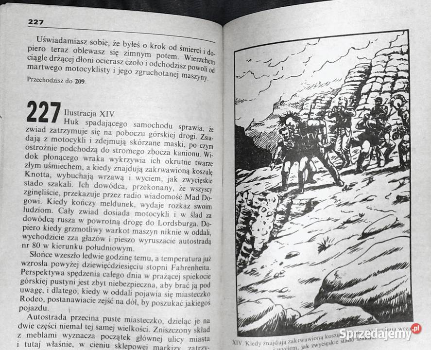 Wojownik autostrady 3 Joe Dever Chełm sprzedam