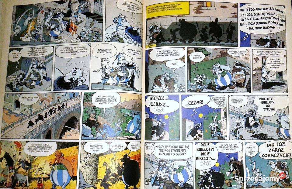 Asterix Laury Cezara Rene Goscinny Albert Uderzo Rok wydania 1994 Pozostałe Chełm sprzedam