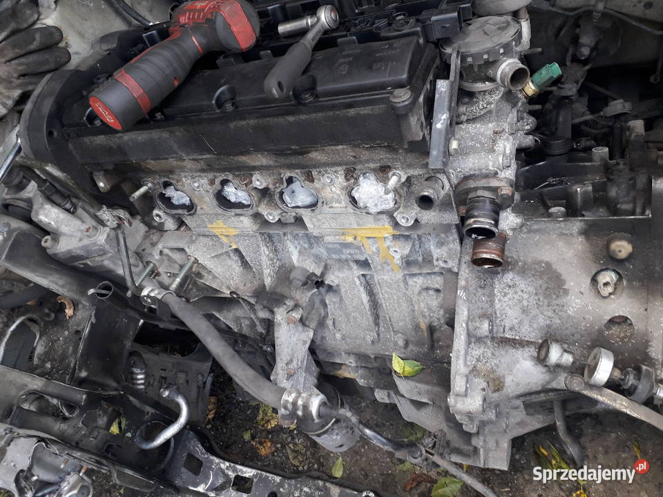 Silnik CITROEN 18 Rok produkcji 2003 śląskie Myszków