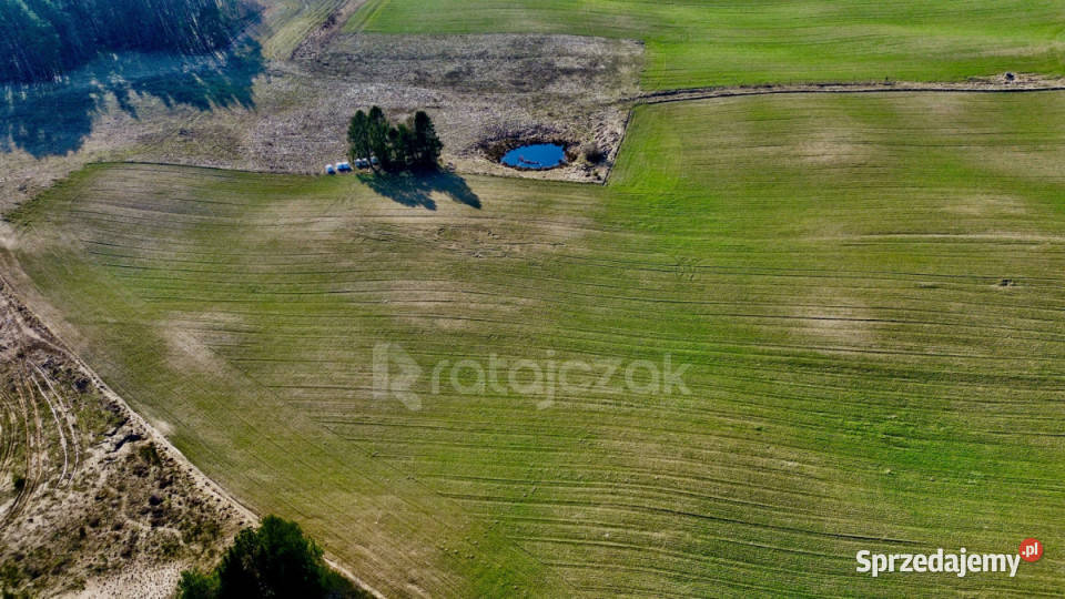 Grunt 779m2 Gdynia Kazimierza Małkowskiego Sprzedaż