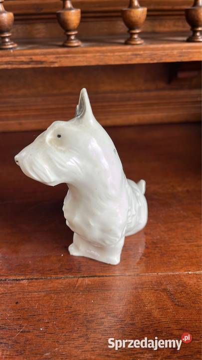 Piesek Figurka porcelanowa Śliczna figurka bez Gdańsk