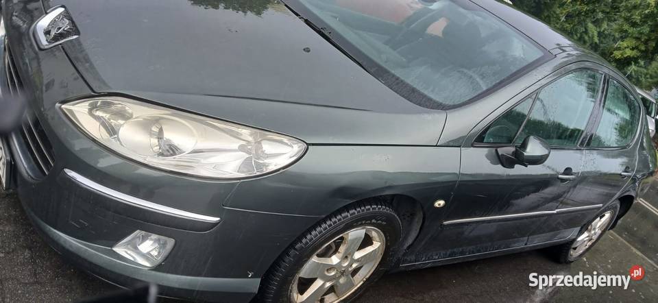 Peugeot 407 20 2007 DT
