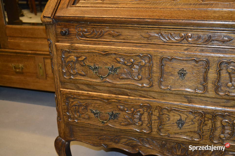 sekretarzyk ludwikowski lity dąb 2 Będzin